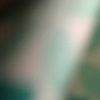 darynconstant